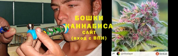 дурь Пестово