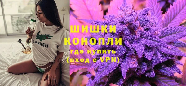 дурь Пестово