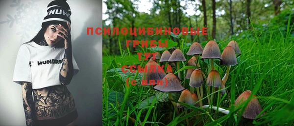 дурь Пестово