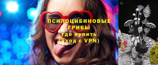 тгк Губаха