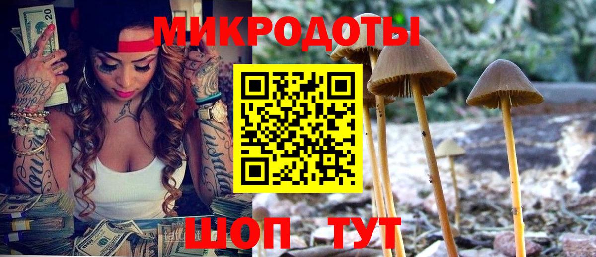 Красноярск  Псилоцибиновые грибы Cubensis  Вход с VPN  Псилоцибиновые грибы Magic Shrooms 