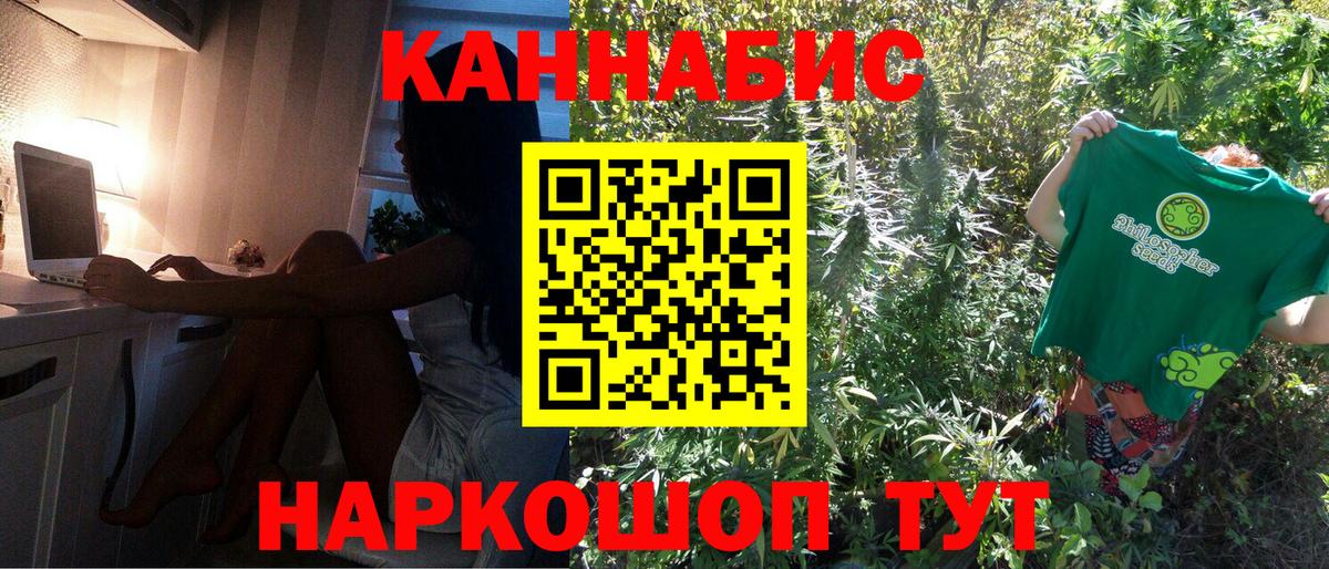 Канабис OG Kush Красноярск